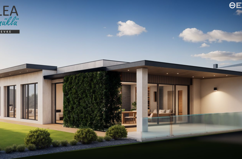 OLEA GÖYNÜKLÜ BY EVKE