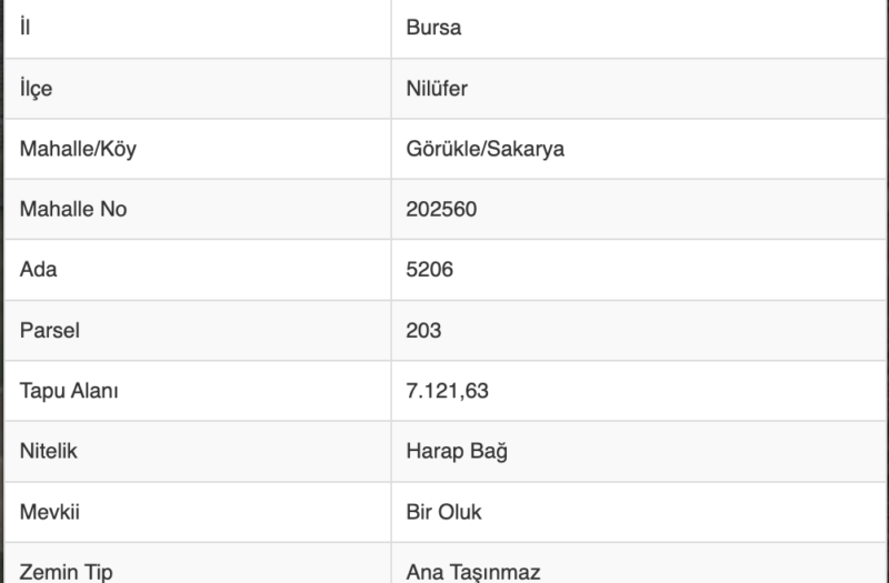 dAb’DAN BURSA NİLÜFER GÖRÜKLE’DE YOLA CEPHE SATILIK HİSSELER